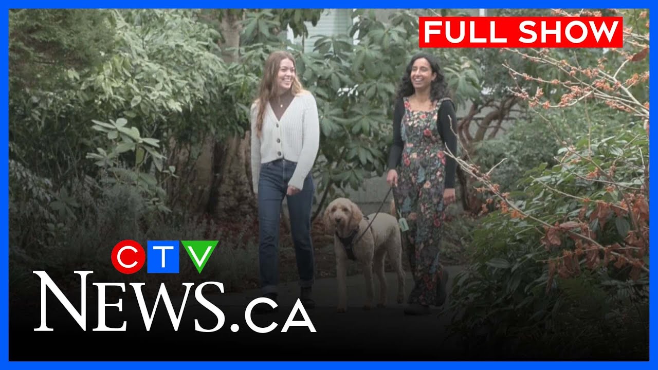 Pet foster program removes barriers to addictions treatment | CTV Vancouver Island | Jan.29, 2026