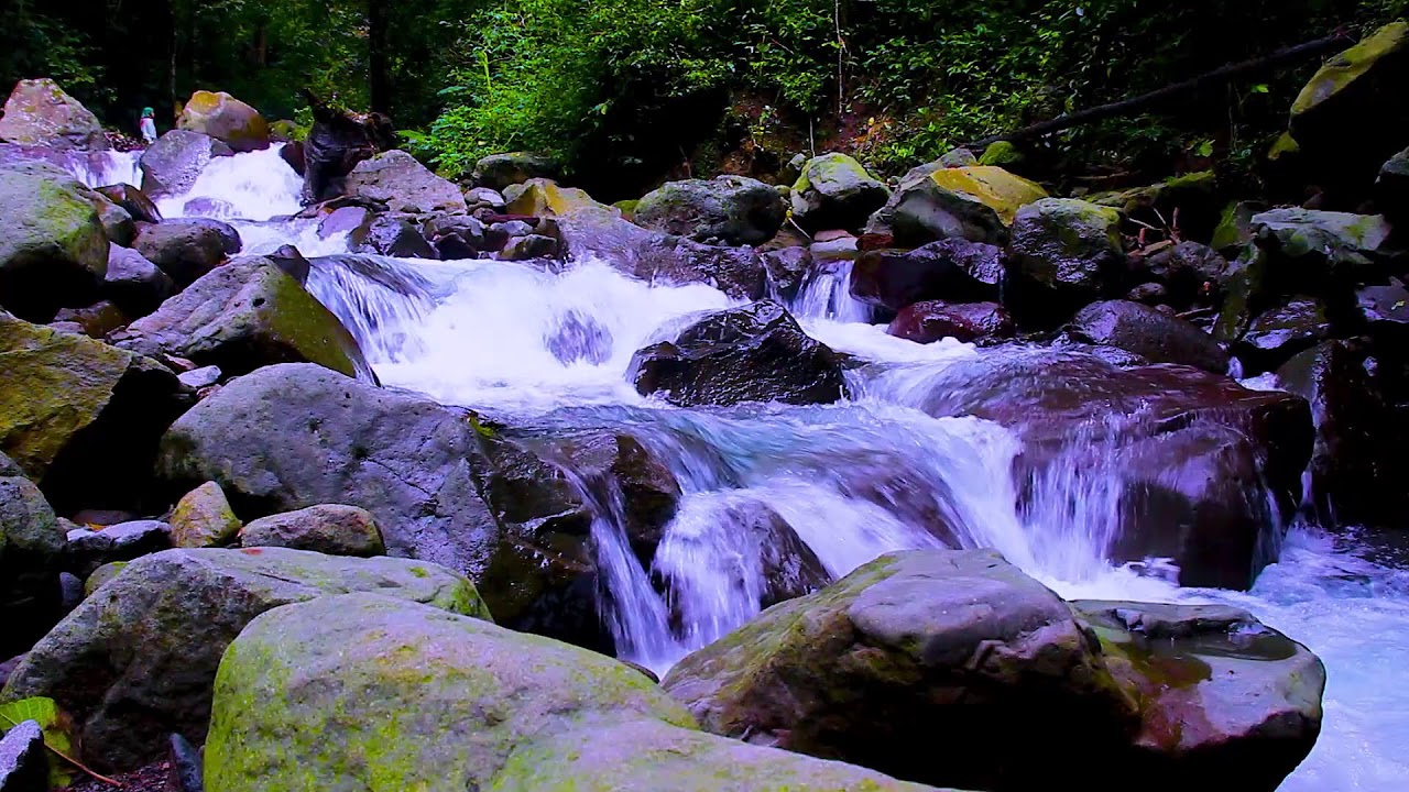 Mountain Creek Flowing in Deep Forest | Relaxing Nature Sounds for Deep Sleep