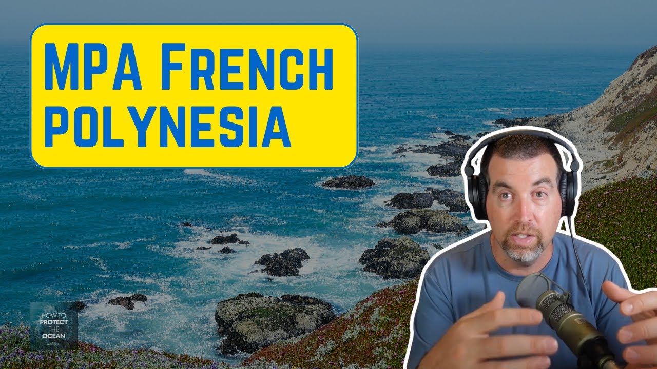 French Polynesia MPA: The World's Largest Protected Area