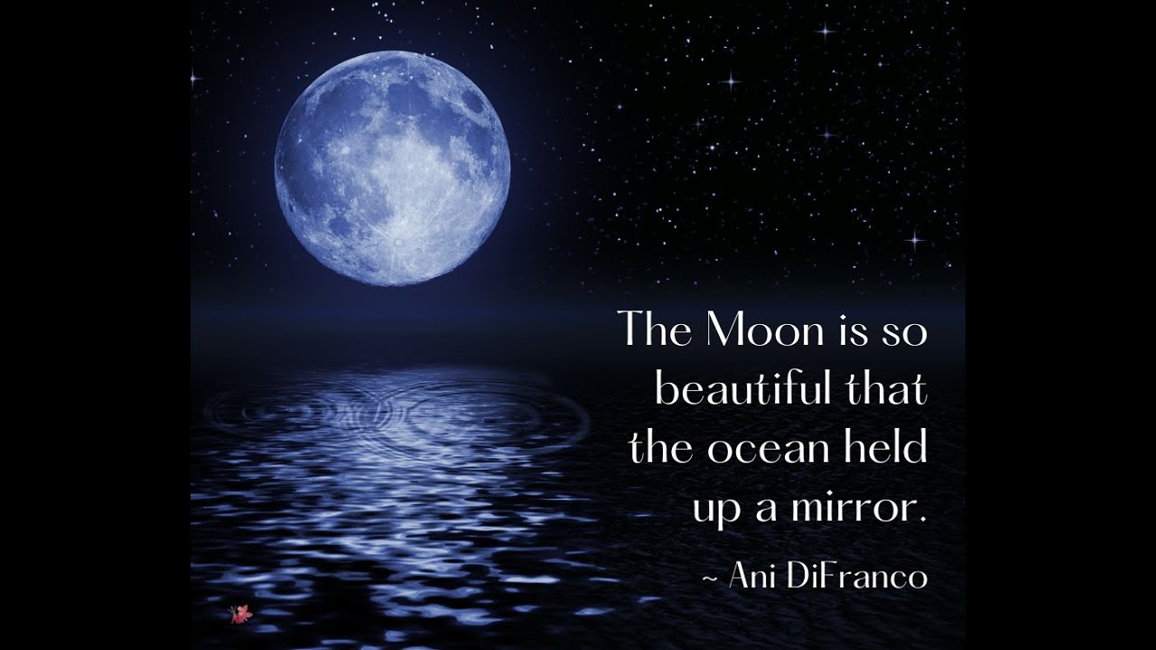 Embrace the Full Moon Energy: Reflections on Nature and Business Growth 🌕✨