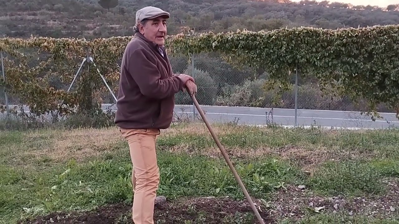 Labrando y plantando para comprar lo menos posible de fuera🥦🫛🥬