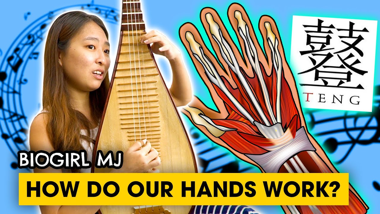 Why are our hands so incredible! | Biogirl MJ (Ft. The TENG Ensemble)