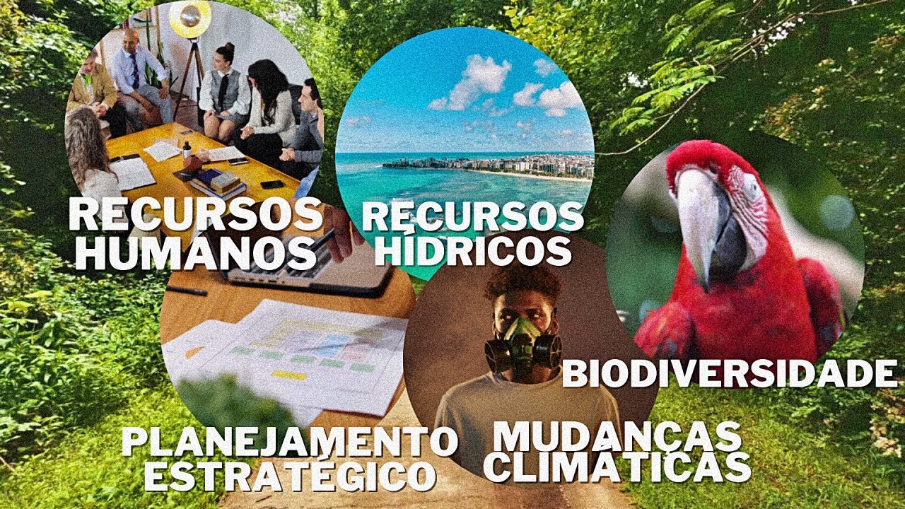 O que FAZ o ANALISTA AMBIENTAL do Ministério do Meio Ambiente   MMA
