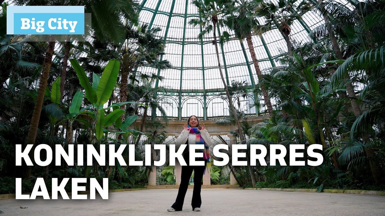 Hoe overleven die tropische planten de koude Belgische wintermaanden? | BRUZZ