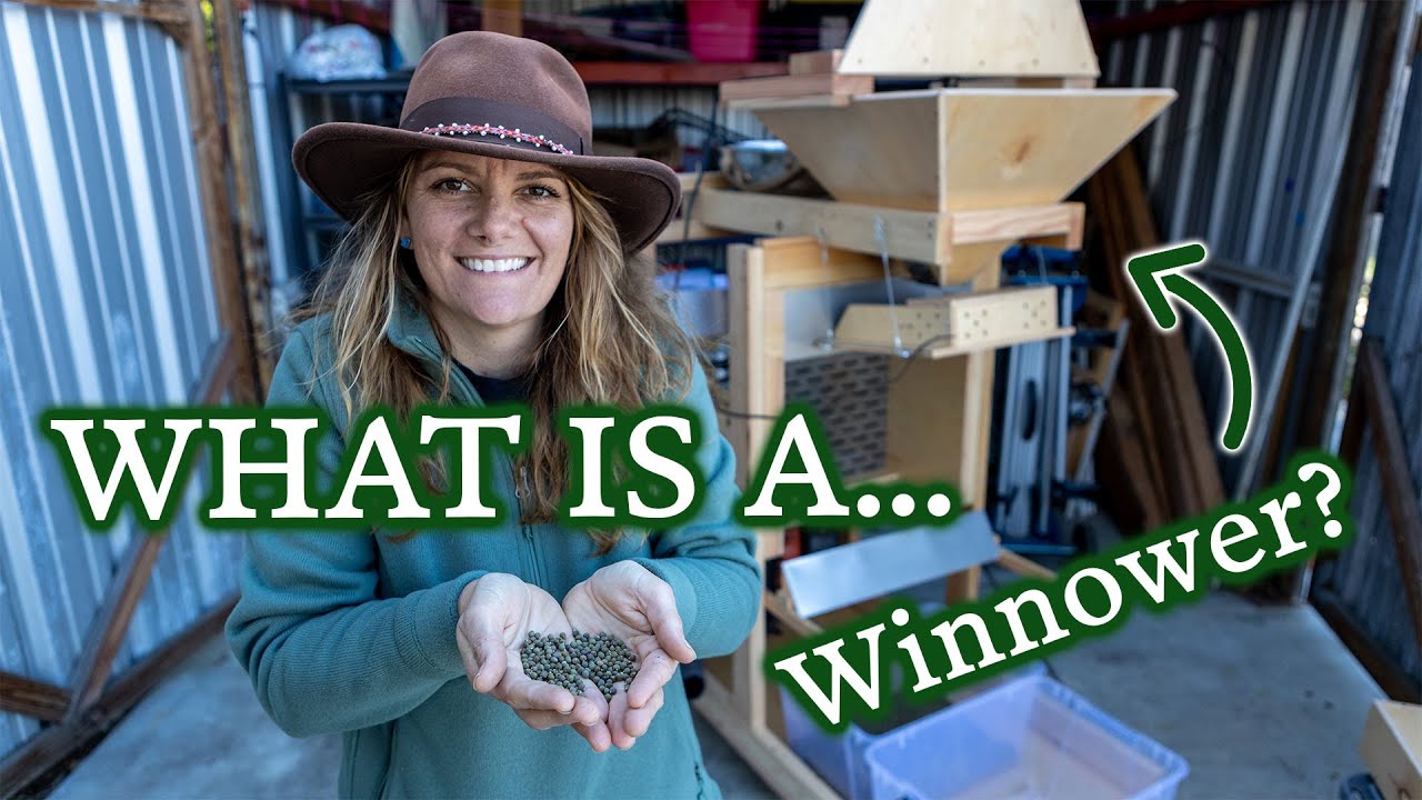 Take a peek behind the scenes & check out the WINNOWING MACHINE in action! Our Winnow Wizard is here