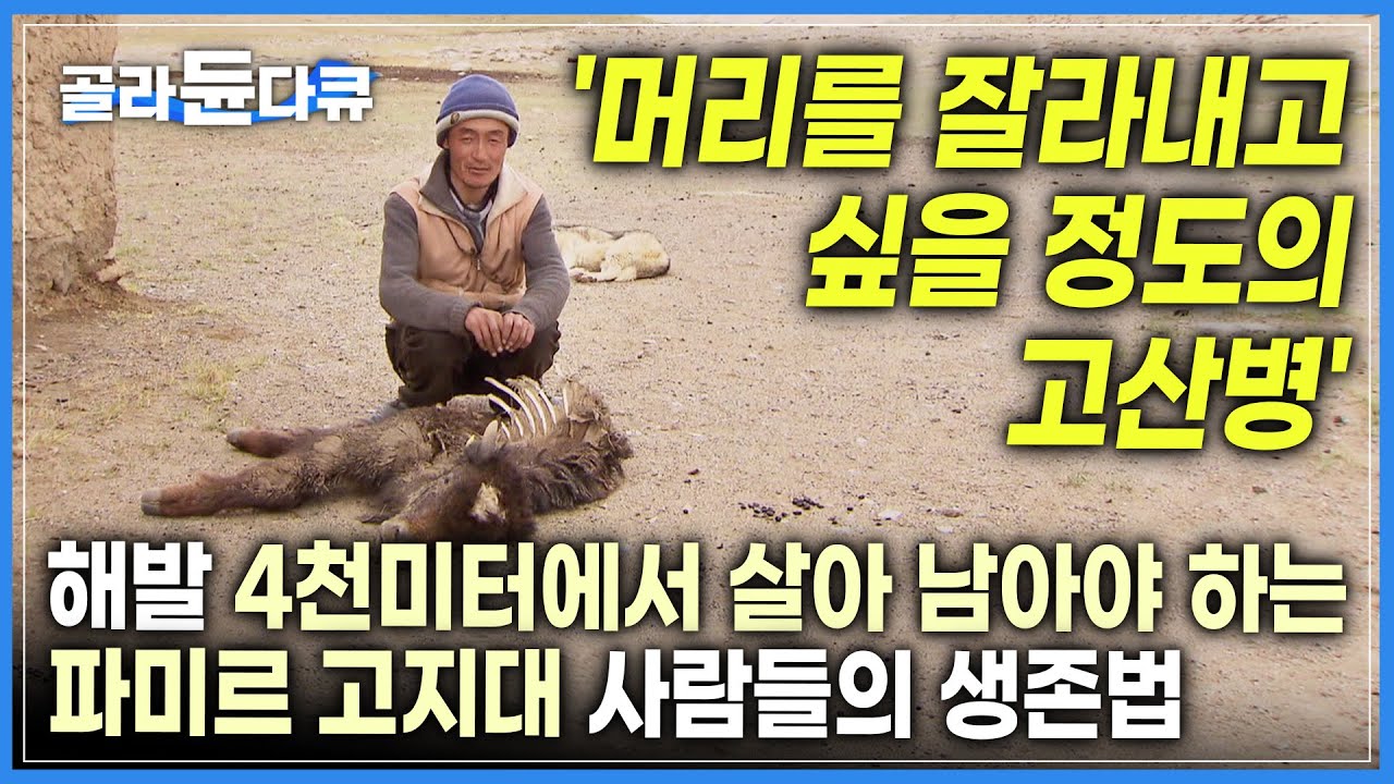 ※제작기간 2년※ 