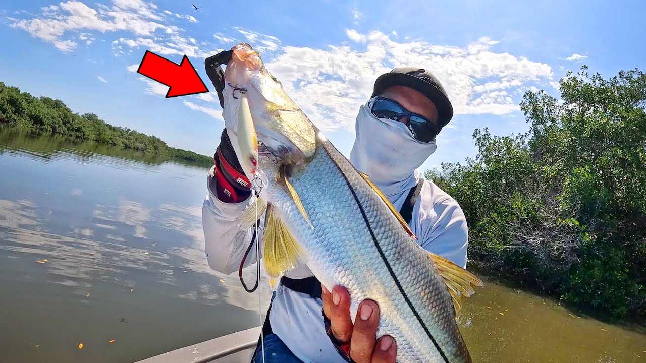 MI MEJOR SE&Ntilde;UELO PARA PESCA de ROBALO e el MANGLAR