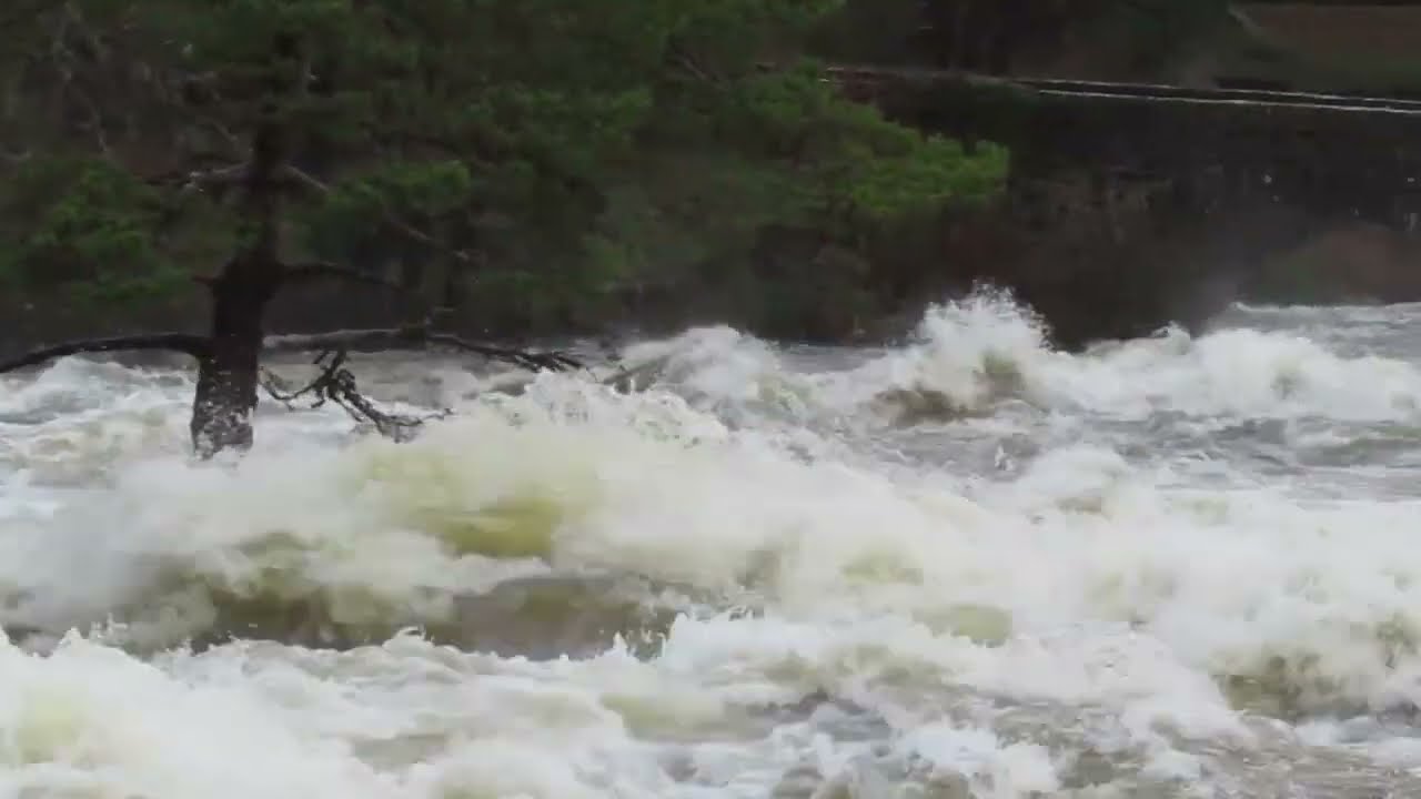Falls of Dochart in spate 12 January 2026: according to a local this has not been seen for 43+ years