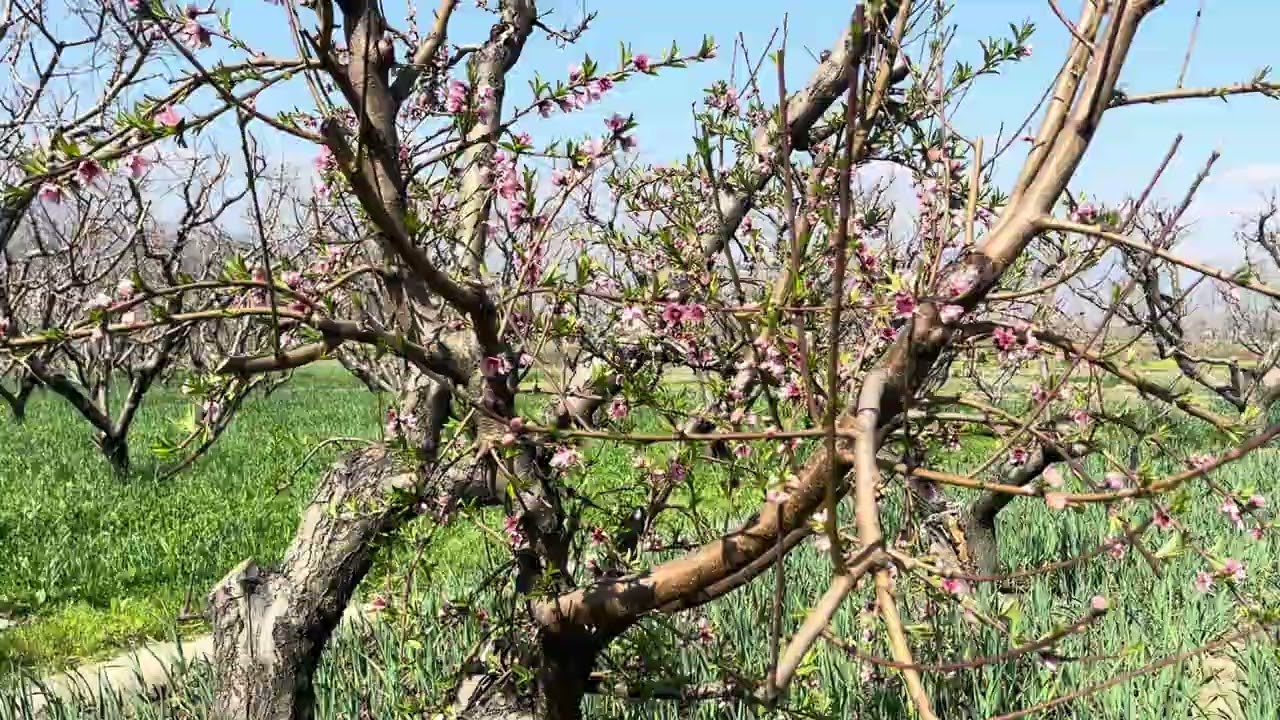 My beautifull village Vlog In Ramadan
