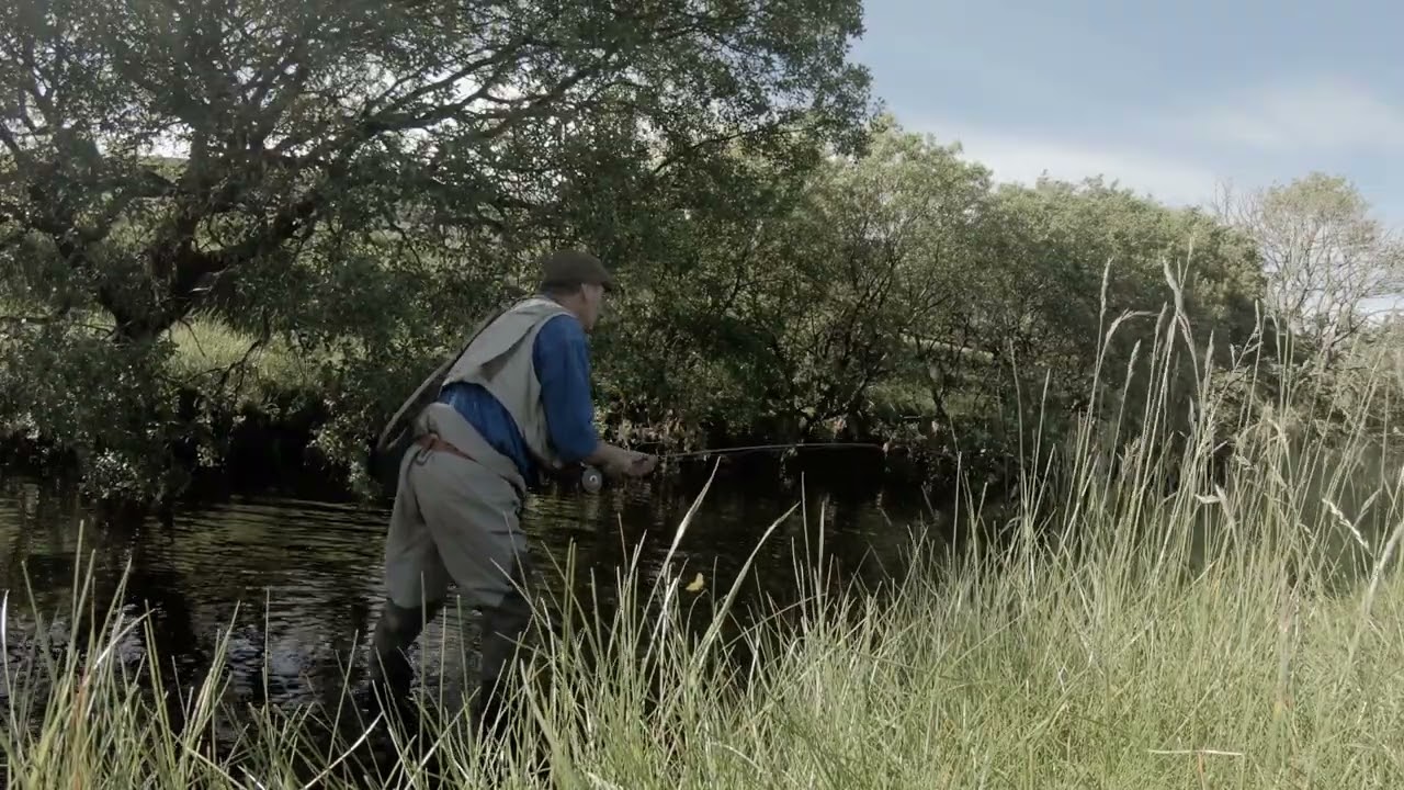Hit and Miss