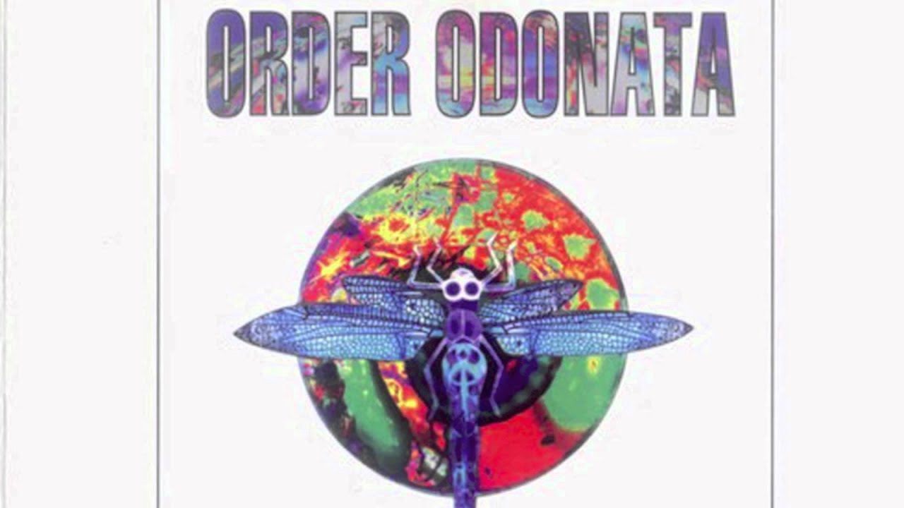 The Infinity Project - Brain Bokka