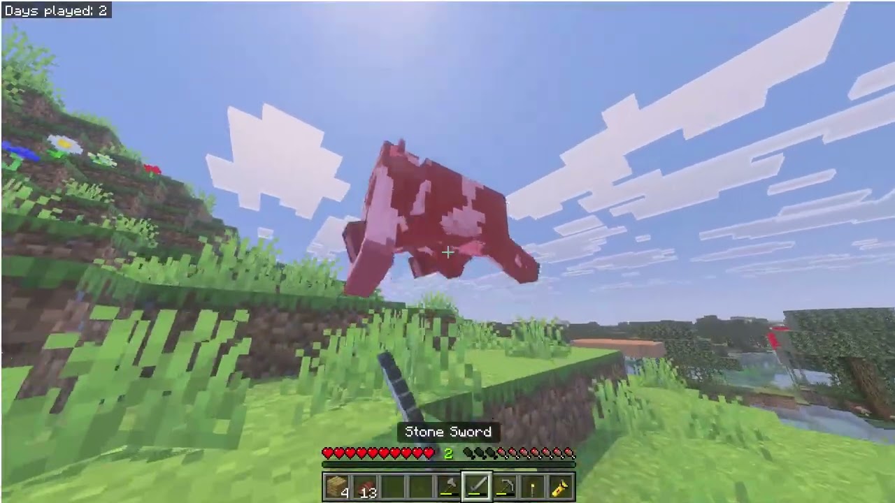 Bygger på huset | MinecraftD