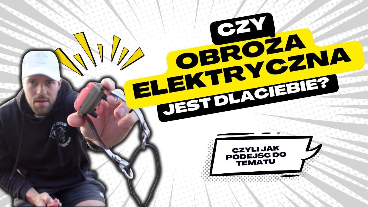 Obroża elektryczna dla psa? CO NALEŻY wiedzieć?