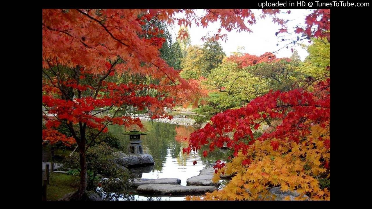 Japanese Pictures Kevin Mixon