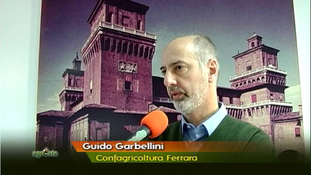 NUOVO PSR 2014 – 2020 DELLA REGIONE EMILIA – ROMAGNA: IL PARERE DI CONFAGRICOLTURA FERRARA