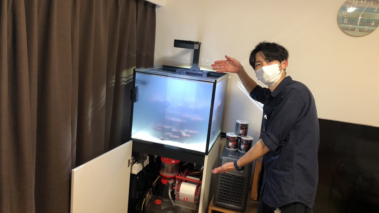 REEFER G2! フル装備のハイスペック水槽設置!