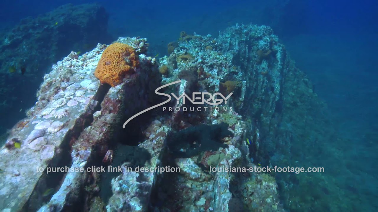 2657 Stetson Bank underwater National Marine Sanctuary