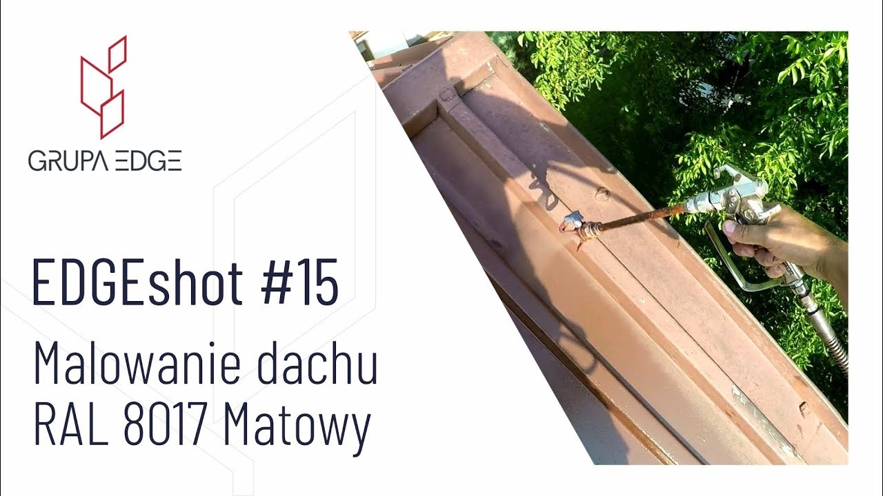 Malowanie dachu Bochnia RAL8017 | roof coating | dachbeschichtung | malowanydach.pl