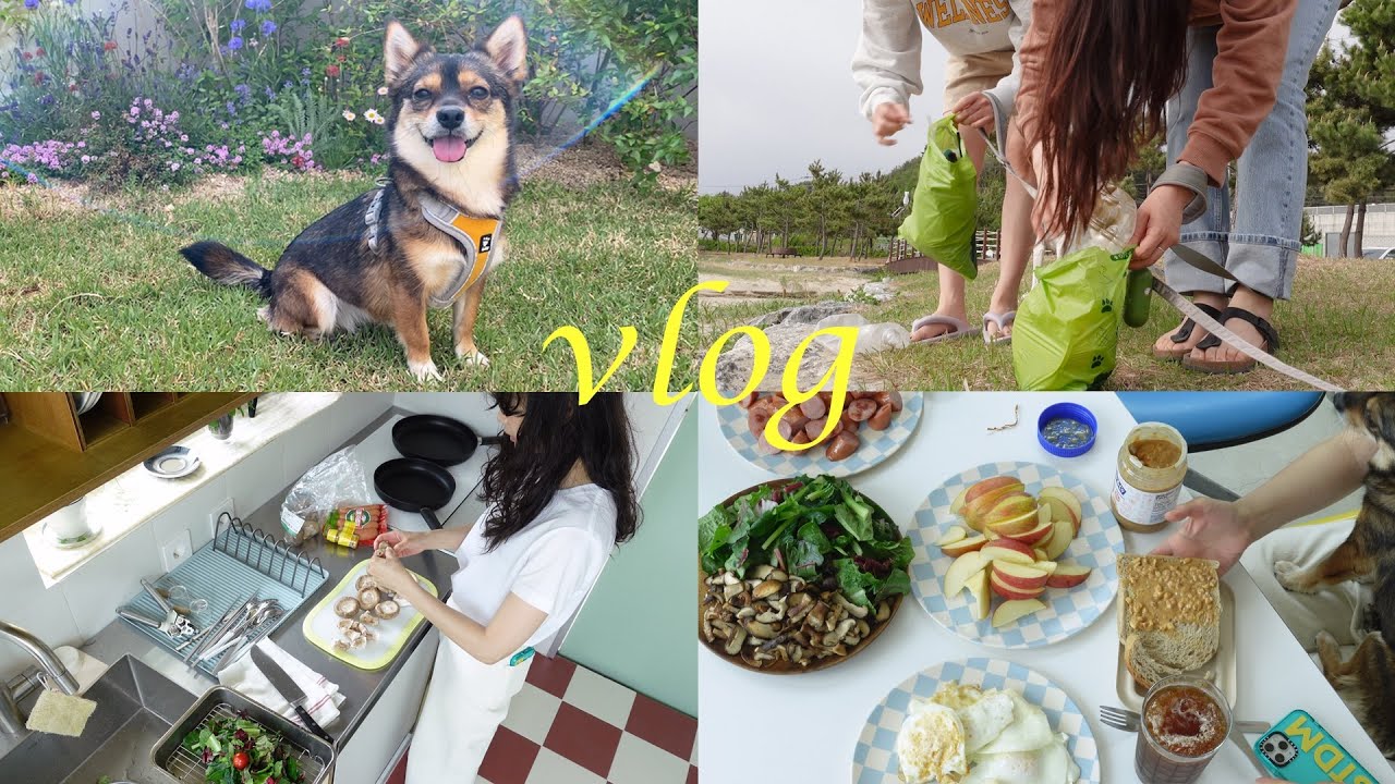 VLOG | 양양 브이로그 1박2일, 나의 소중한 일상들