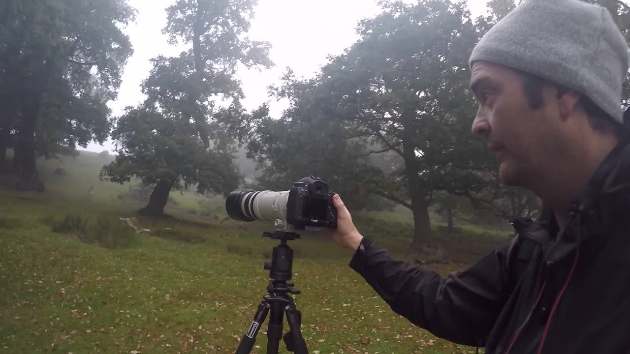 Wildlife Photography: shutter speed, aperture, exposure, iso,
