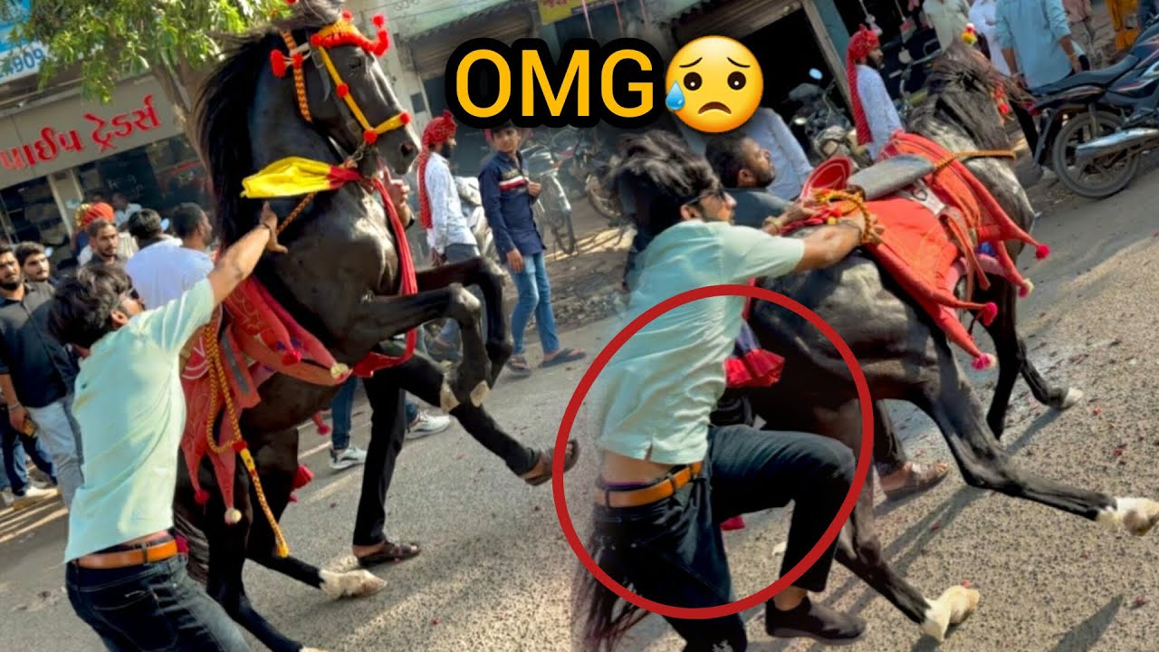 Ghodo lay ne Jetpur gaya 😳