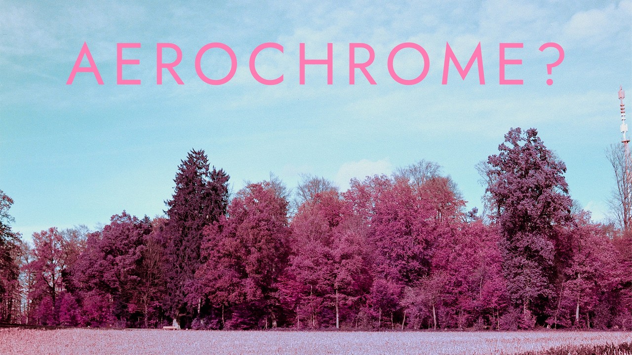 Можно ли подделать Aerochrome? Съемка на пленку Lomography Purple для получения фотографий в инфр...