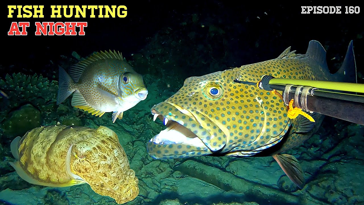 NIGHT SPEARFISHING EPISODE 160 | FISH HUNTING AT NIGHT