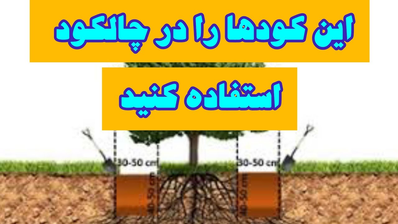 اگه نمیدونی داخل چالکود چی بریزی این کلیپ حتماً ببین