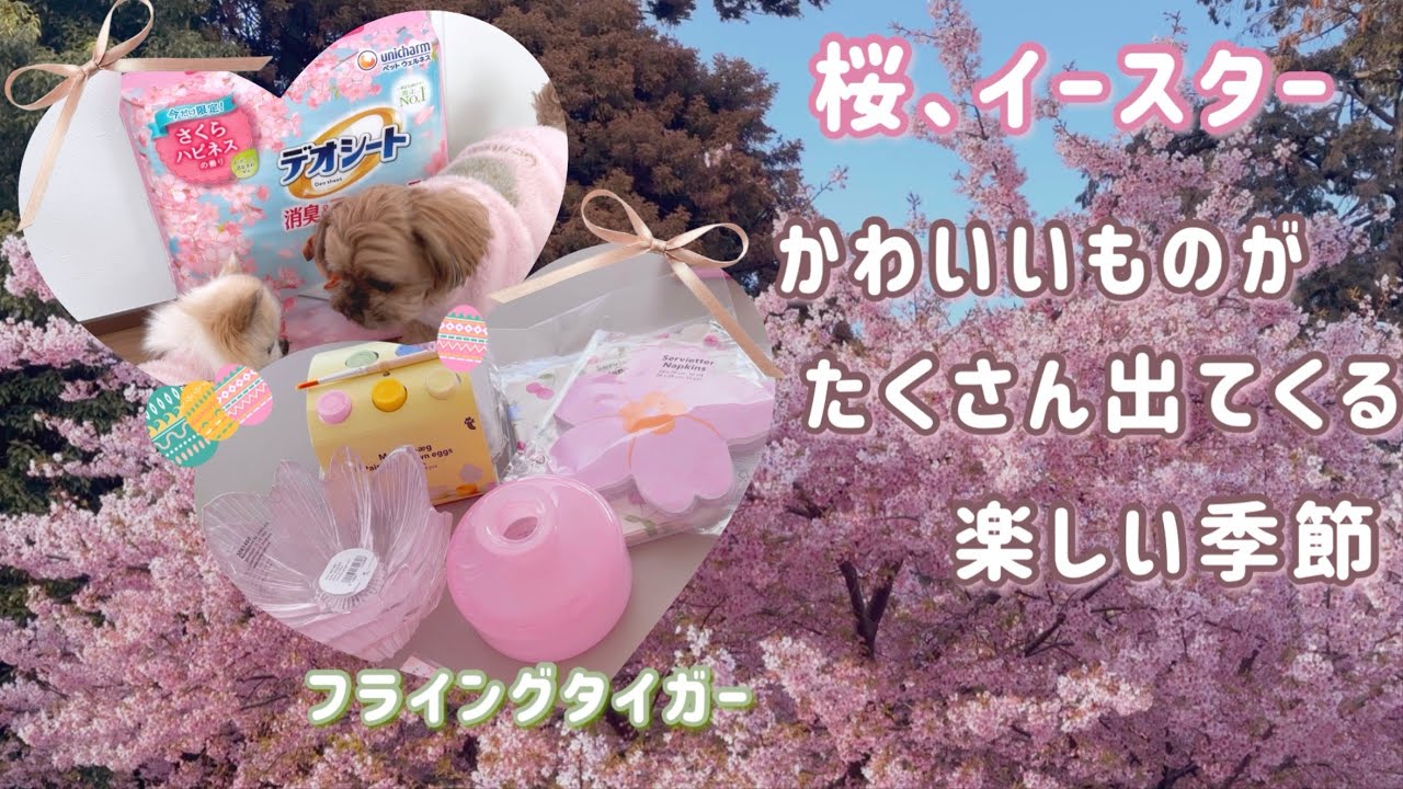 可愛い桜やイースター🌸🐣