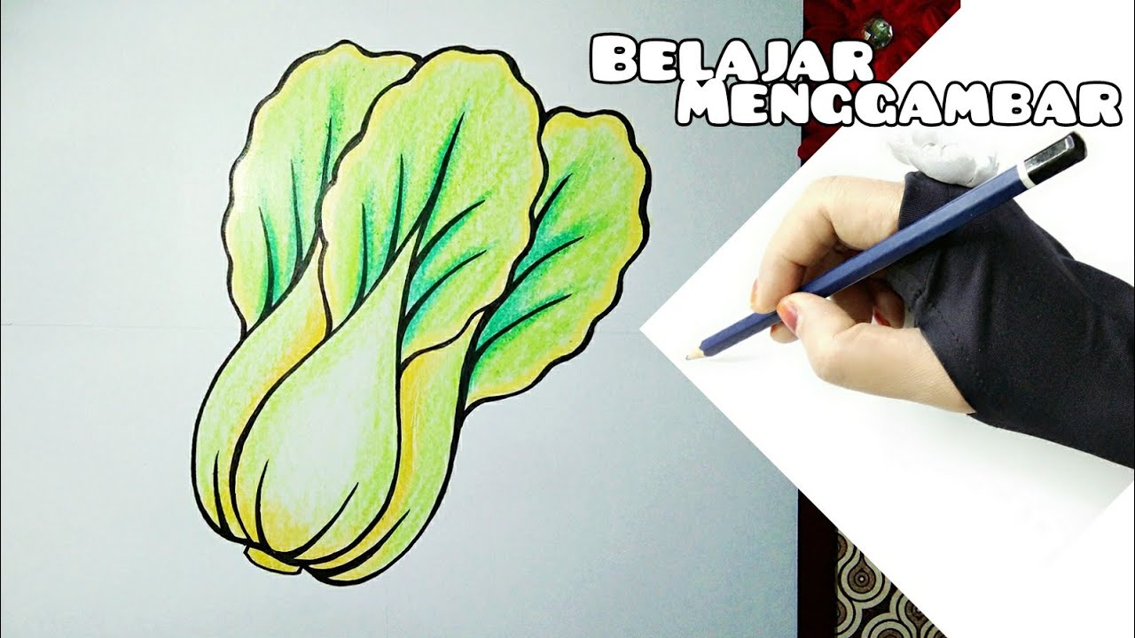 Cara Menggambar Sawi Hijau - How To Draw Mustard Greens | Belajar Menggambar Untuk Anak dan Pemula