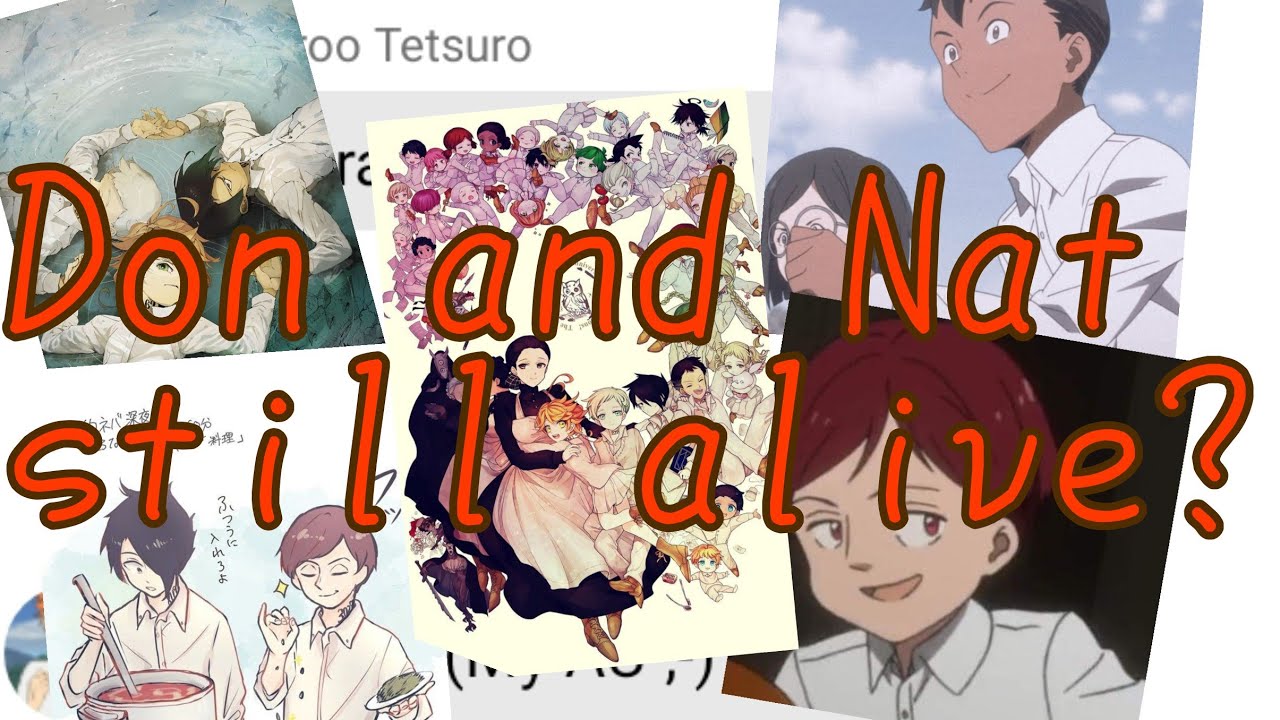 Haikyuu react to Hinata,Lev and Kuroo past/Part 6(The end)/AU