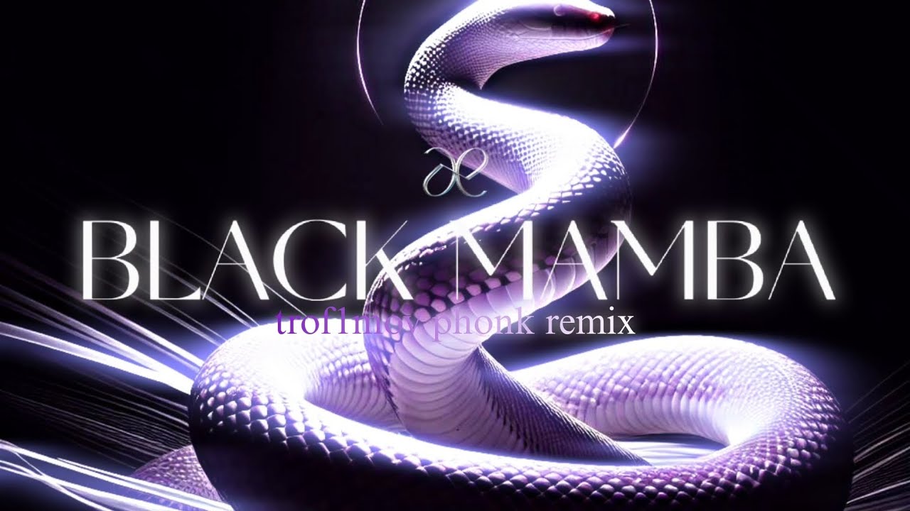 aespa - BLACK MAMBA (trof1mov phonk remix)