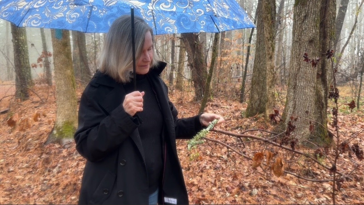 Lenten devotional promotes creation care and self-care