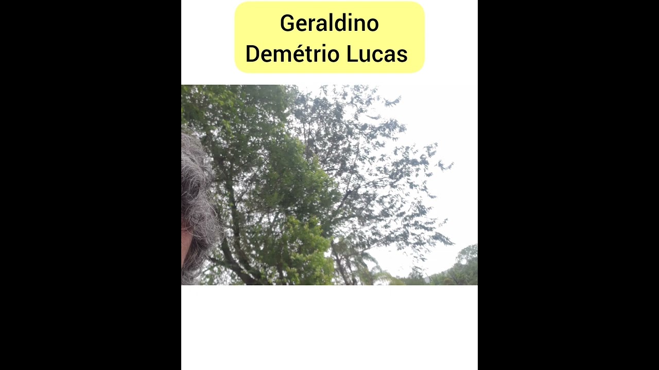 Geraldino Dem&eacute;trio Lucas