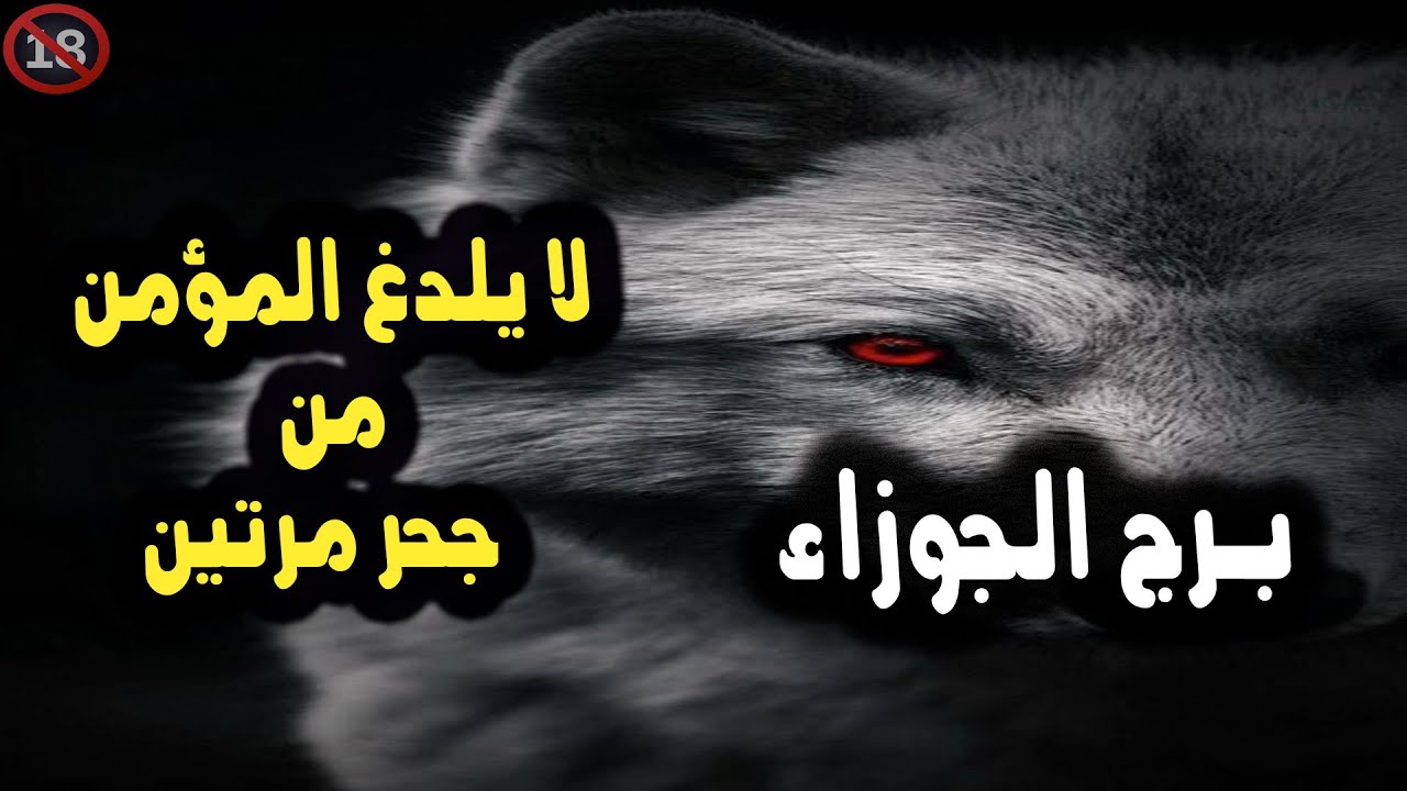 برج الجوزاء لايلدغ المؤمن من جحر مرتين / من 22 إلي نهاية فبراير 2024