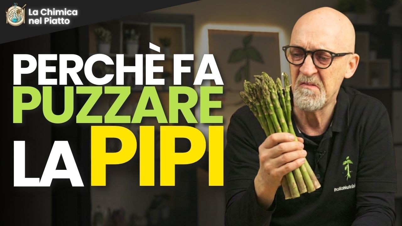 LA RISPOSTA È NELLA TUA GENETICA. Perchè gli asparagi fanno puzzare la pipì - Italia Nutrizione