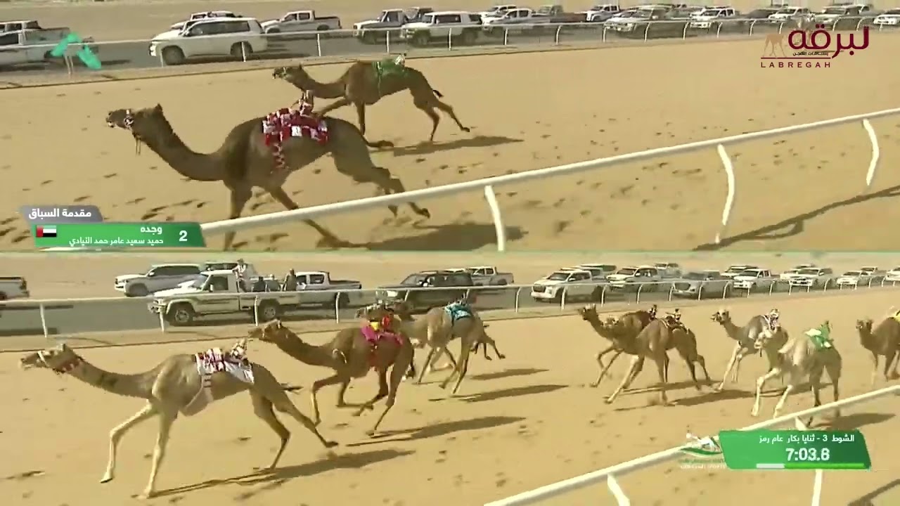 ش3 الشايقة لـ ناصر سالم علي الهمامي (كأس الإتحاد السعودي 4-10-2024م) كأس الثنايا بكار عام 9:45:78