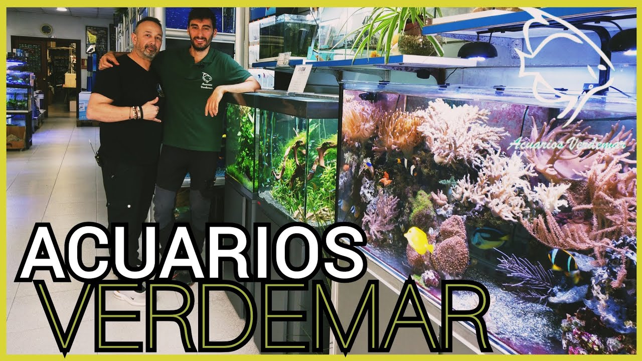 TIENDA ACUARIOFILIA VALENCIA | Acuarios Verdemar