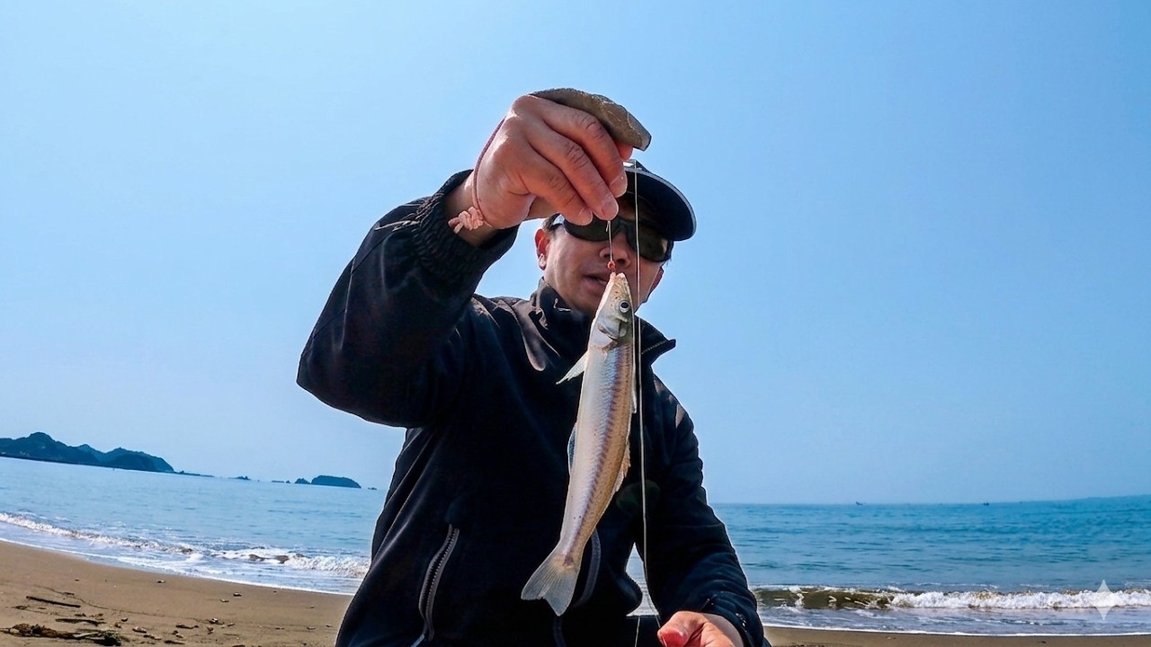 【シロギスの投げ釣り】3月最終日曜日、千葉まで行って少し釣れました。