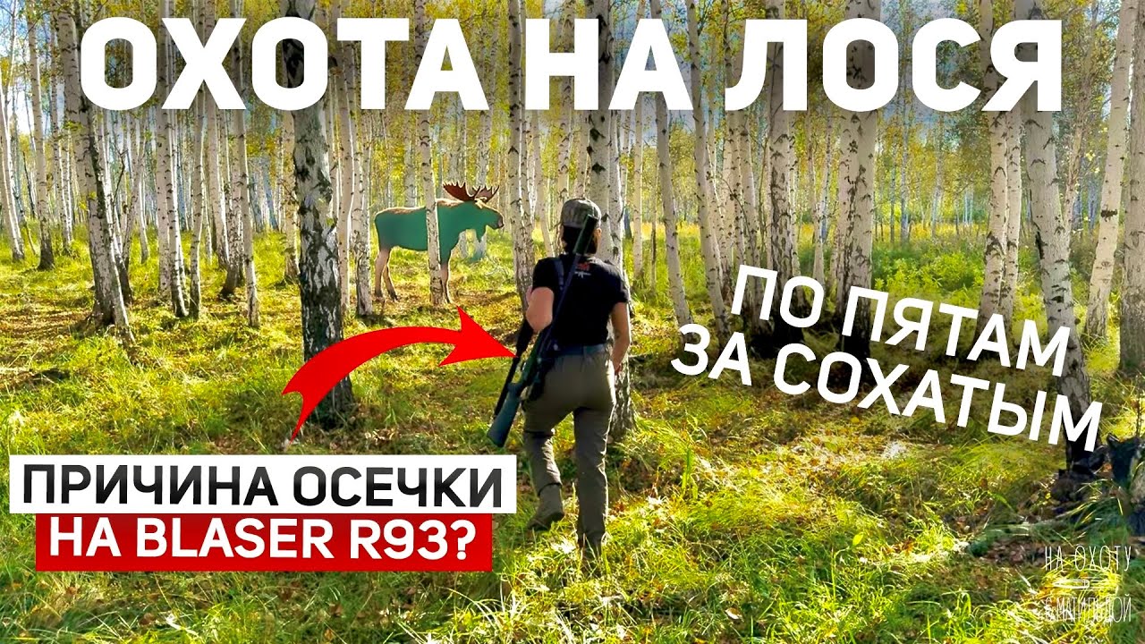 Почему произошла ОСЕЧКА НА Blaser R93? | Охота на Лося 🫎| Напала на след сохатого