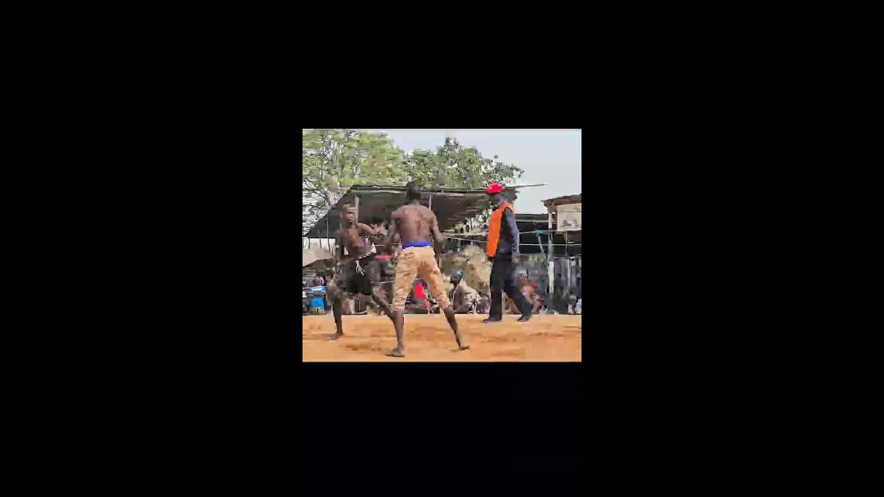 Dambe tv Live Stream