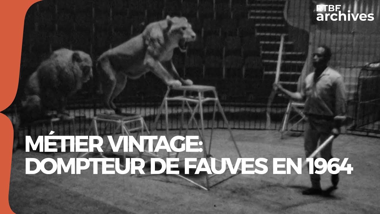 M&eacute;tier vintage : dompteur de fauves pour le cirque en 1964 - RTBF Archives