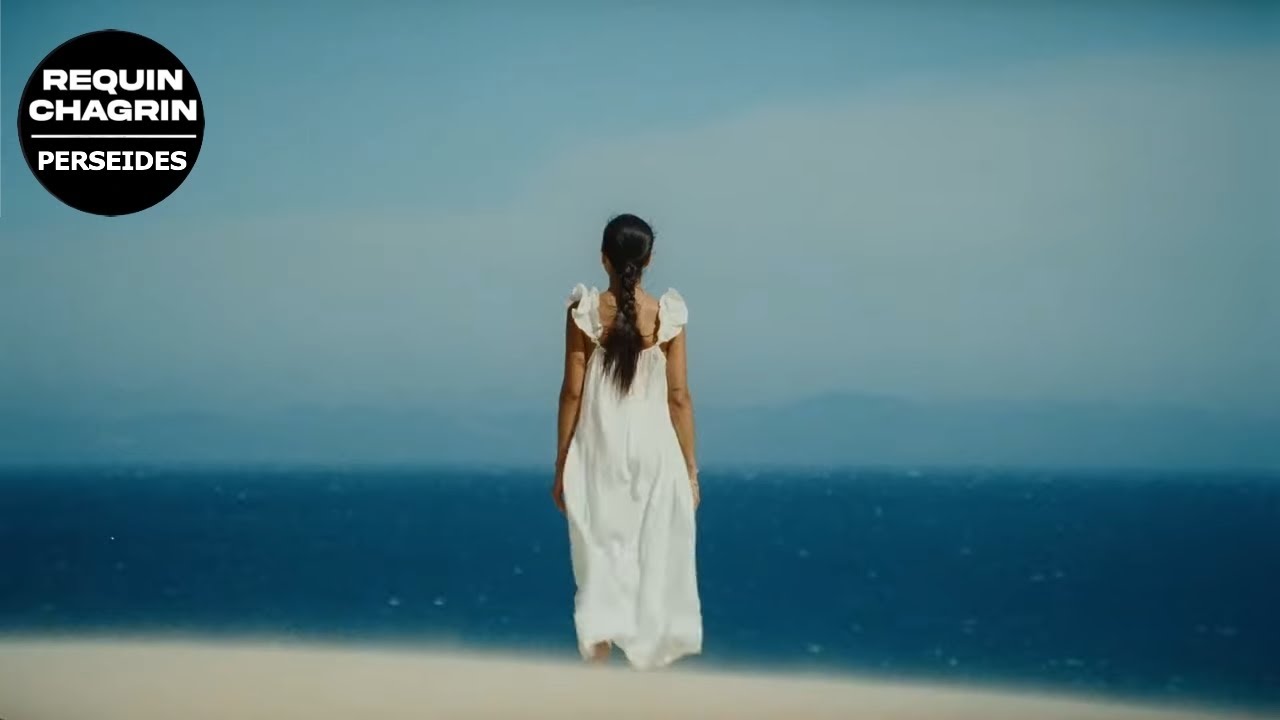 Requin Chagrin - Perséides