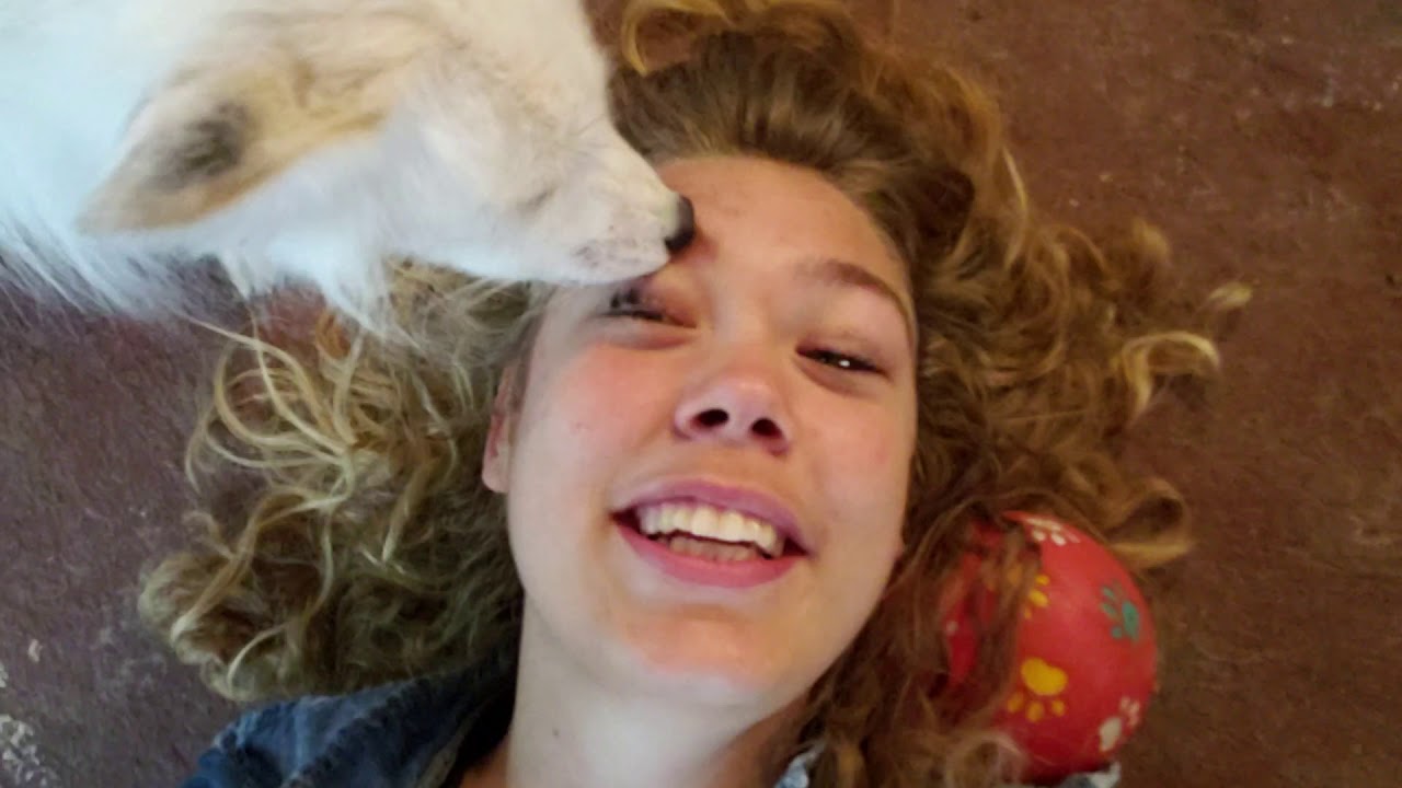 Getting groomed by foxes