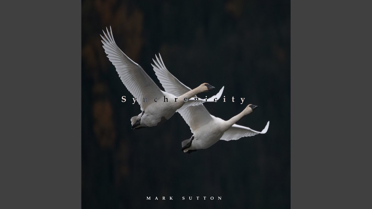 Synchronicity