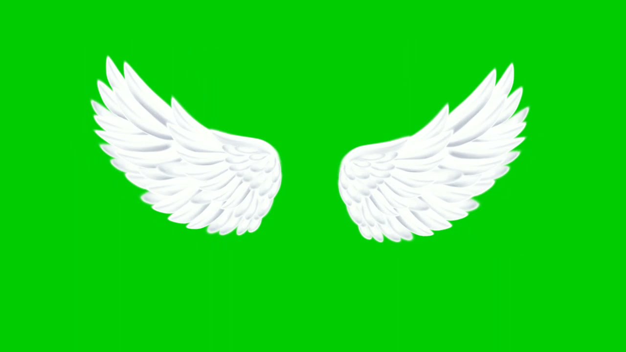 Wings free green screen VFX | green screen white wings | green screen angel wings video effect