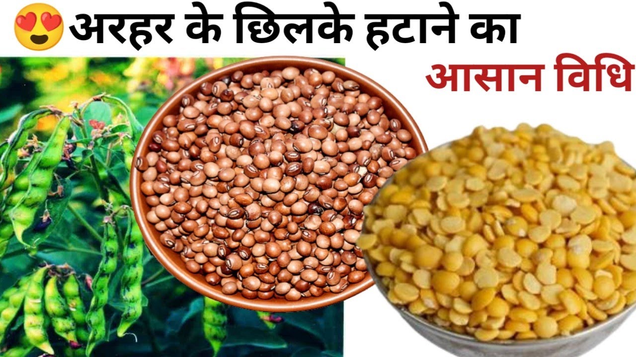 अरहर दाल का छिलका कैसे निकाले|| Arhar Dal,Tuvar,Toor Ka chilka kaise nikale ||Dal Chilka