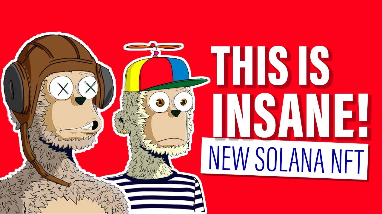New Solana Nft Projects - WTF is y00ts NFT ? - y00ts Yacht Club and t00bs EXPLAINED!