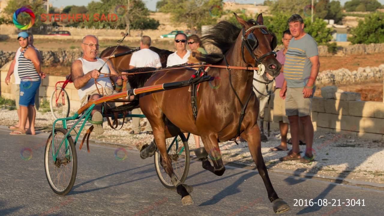 Zejtun 2016 08 21