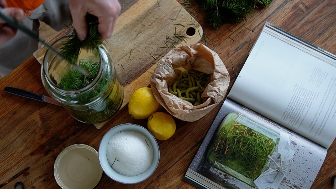 Nr. 10 Forest dinner, winter walk, start the garden and Douglas Soda